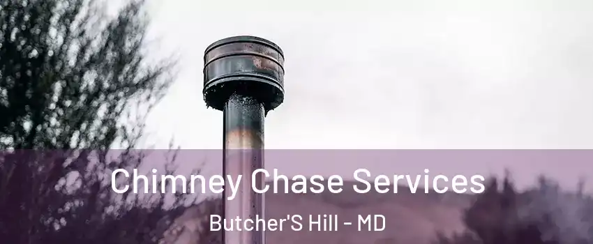 Chimney Chase Services Butcher'S Hill - MD