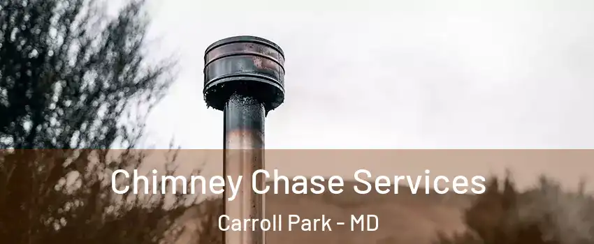 Chimney Chase Services Carroll Park - MD