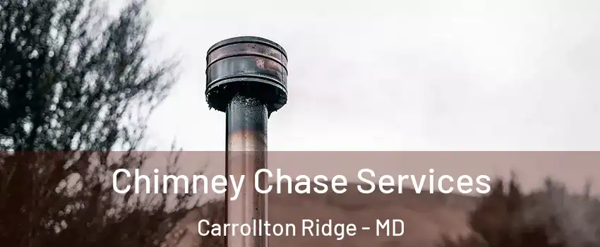 Chimney Chase Services Carrollton Ridge - MD