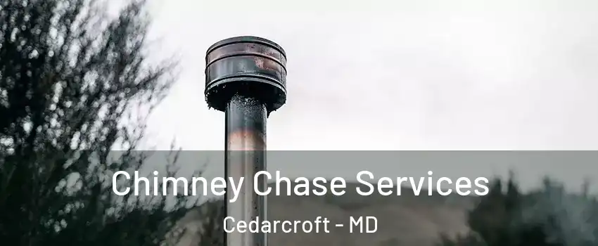 Chimney Chase Services Cedarcroft - MD