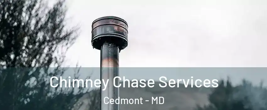 Chimney Chase Services Cedmont - MD