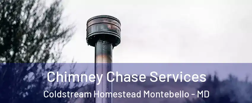 Chimney Chase Services Coldstream Homestead Montebello - MD
