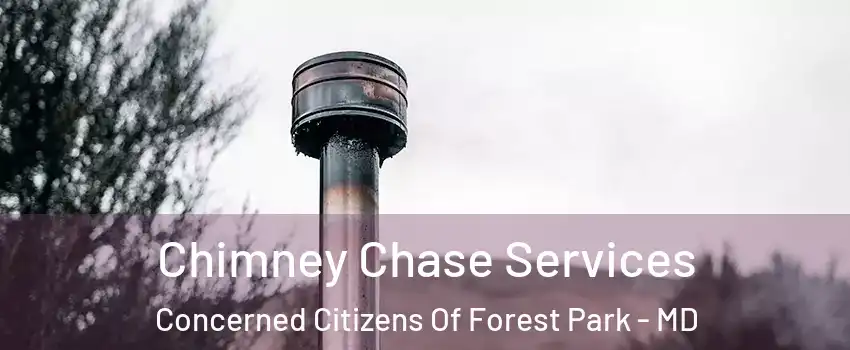 Chimney Chase Services Concerned Citizens Of Forest Park - MD