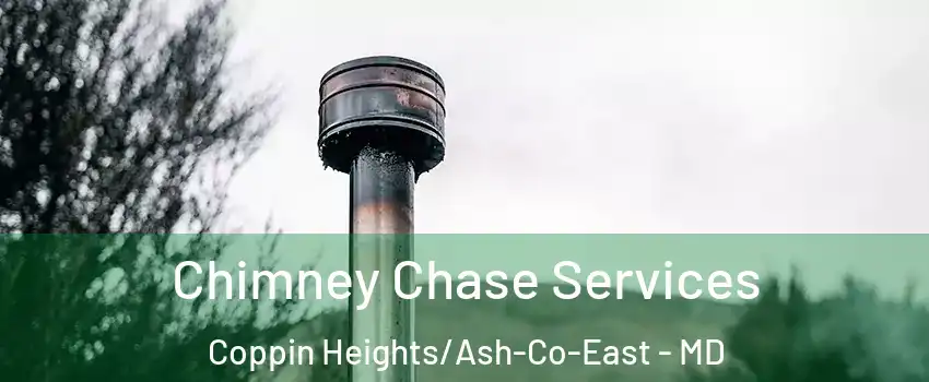 Chimney Chase Services Coppin Heights/Ash-Co-East - MD