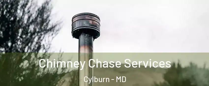 Chimney Chase Services Cylburn - MD