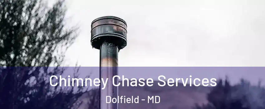 Chimney Chase Services Dolfield - MD