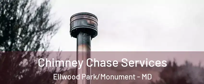 Chimney Chase Services Ellwood Park/Monument - MD
