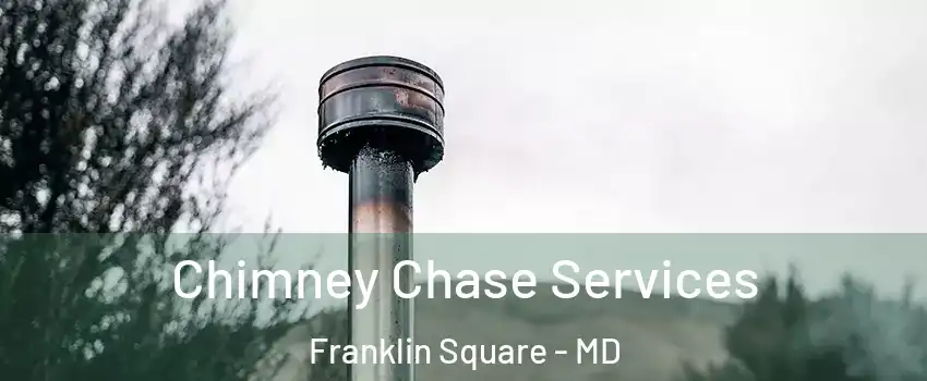 Chimney Chase Services Franklin Square - MD