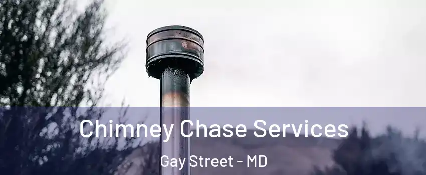 Chimney Chase Services Gay Street - MD