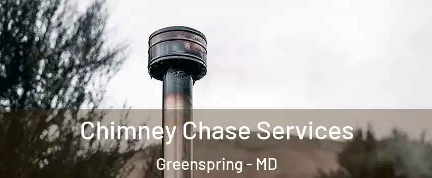 Chimney Chase Services Greenspring - MD