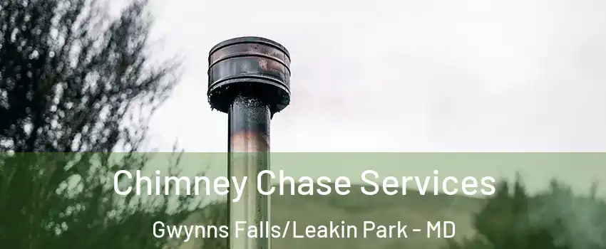 Chimney Chase Services Gwynns Falls/Leakin Park - MD