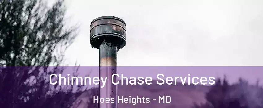 Chimney Chase Services Hoes Heights - MD