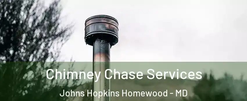 Chimney Chase Services Johns Hopkins Homewood - MD