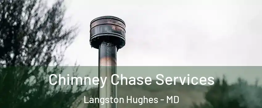 Chimney Chase Services Langston Hughes - MD
