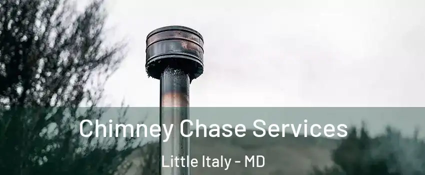 Chimney Chase Services Little Italy - MD