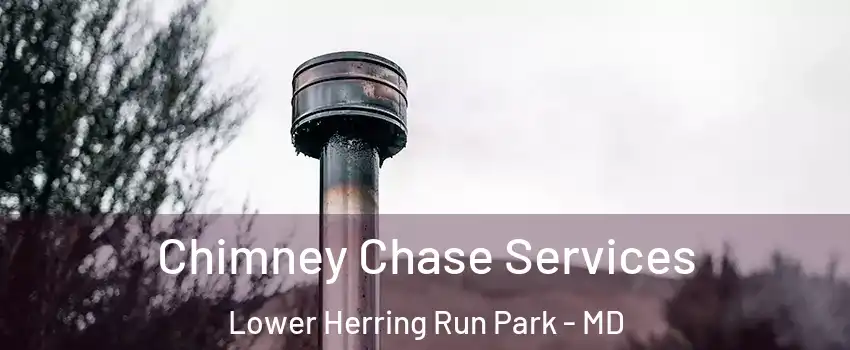Chimney Chase Services Lower Herring Run Park - MD