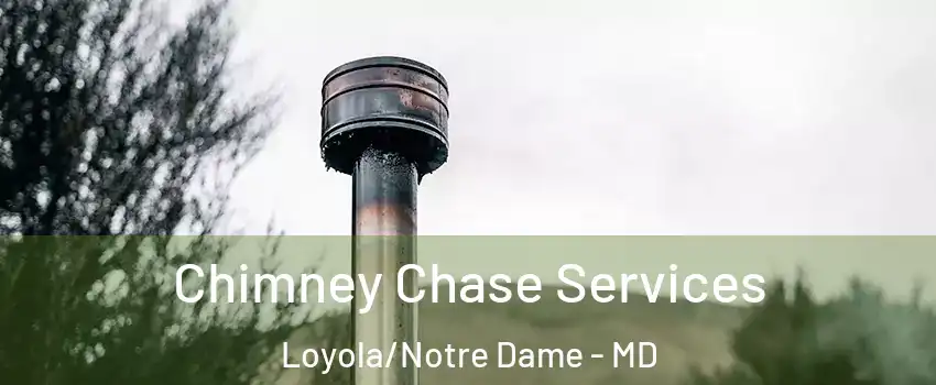 Chimney Chase Services Loyola/Notre Dame - MD