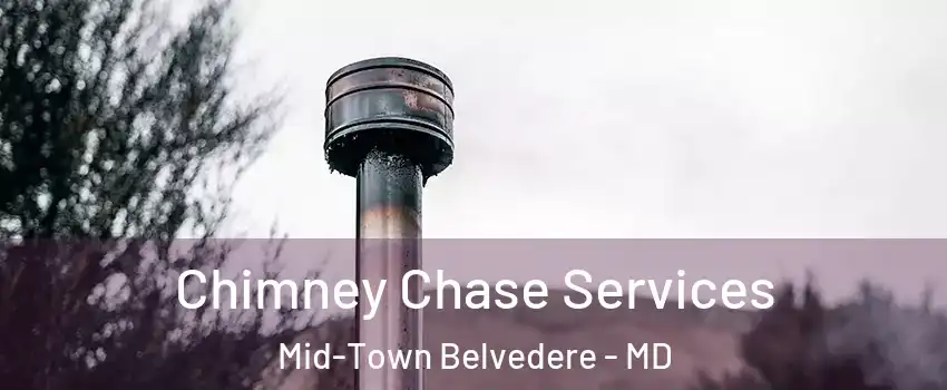 Chimney Chase Services Mid-Town Belvedere - MD