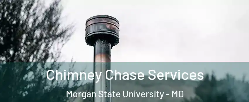 Chimney Chase Services Morgan State University - MD