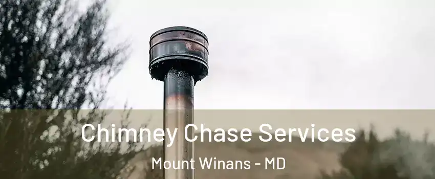 Chimney Chase Services Mount Winans - MD