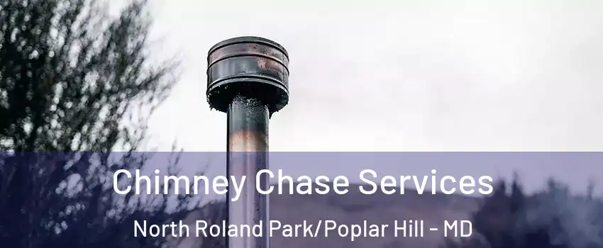 Chimney Chase Services North Roland Park/Poplar Hill - MD