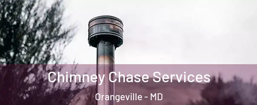 Chimney Chase Services Orangeville - MD