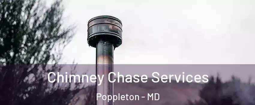 Chimney Chase Services Poppleton - MD