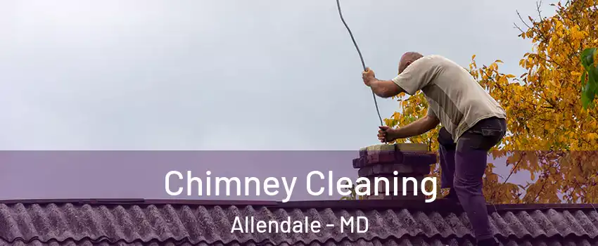Chimney Cleaning Allendale - MD