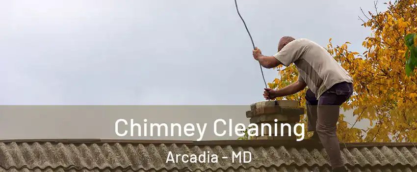 Chimney Cleaning Arcadia - MD