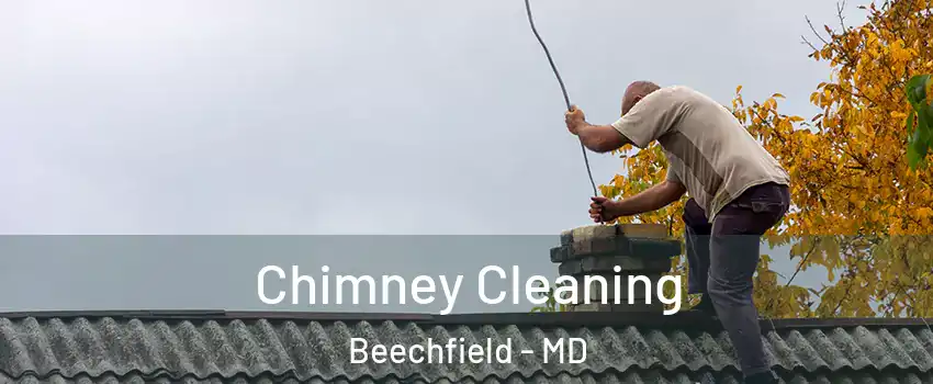 Chimney Cleaning Beechfield - MD