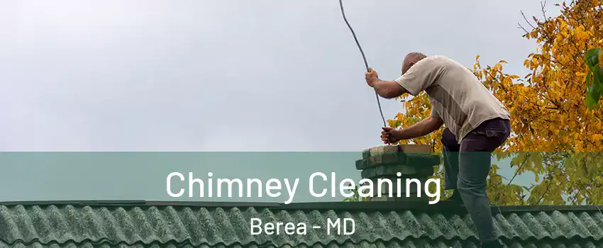 Chimney Cleaning Berea - MD