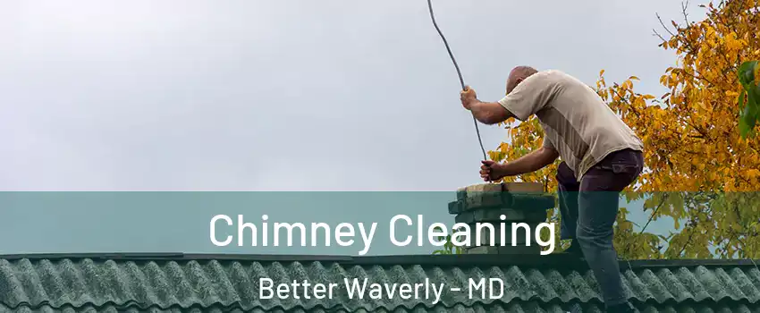 Chimney Cleaning Better Waverly - MD