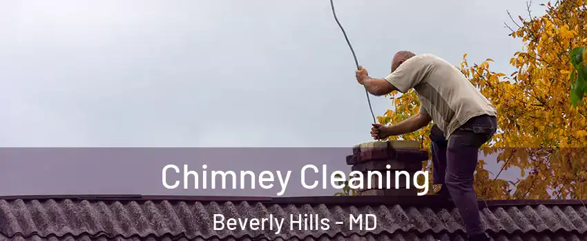 Chimney Cleaning Beverly Hills - MD