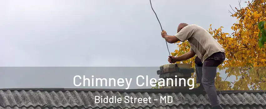 Chimney Cleaning Biddle Street - MD
