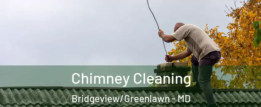 Chimney Cleaning Bridgeview/Greenlawn - MD