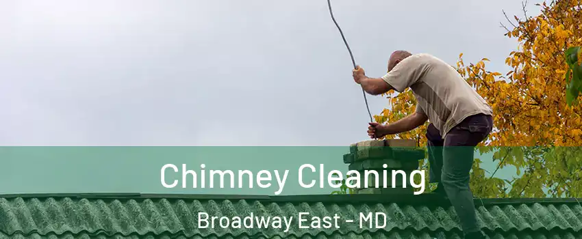 Chimney Cleaning Broadway East - MD