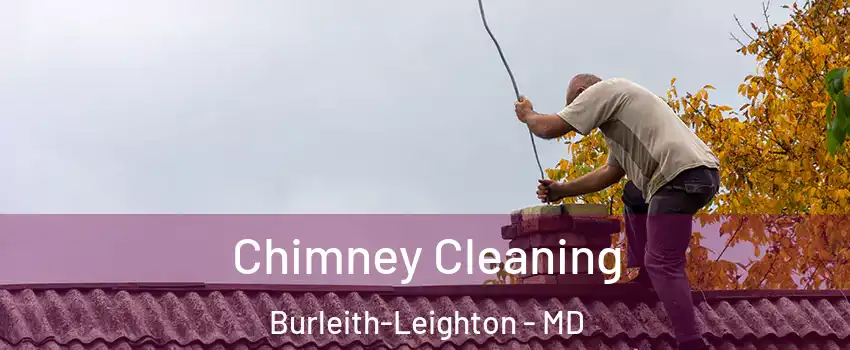 Chimney Cleaning Burleith-Leighton - MD