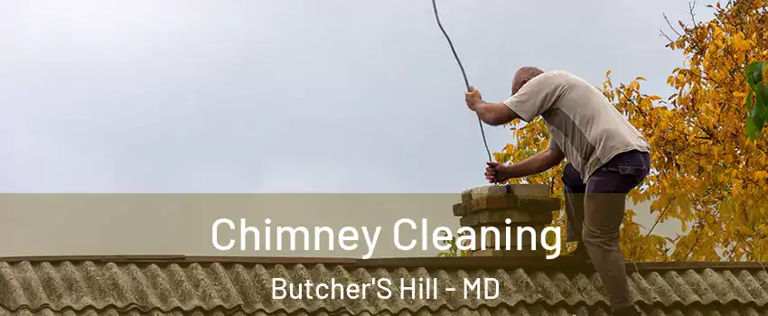 Chimney Cleaning Butcher'S Hill - MD