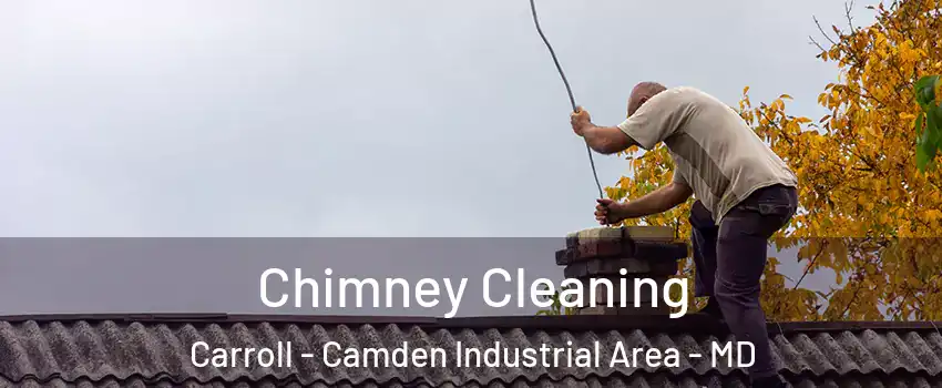 Chimney Cleaning Carroll - Camden Industrial Area - MD