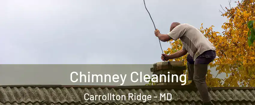 Chimney Cleaning Carrollton Ridge - MD