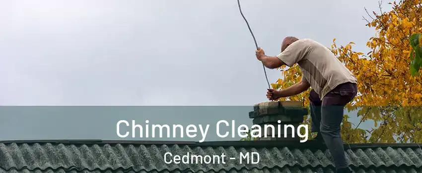 Chimney Cleaning Cedmont - MD