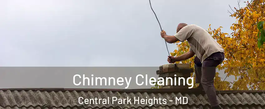 Chimney Cleaning Central Park Heights - MD