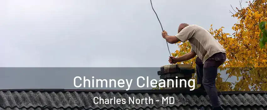 Chimney Cleaning Charles North - MD