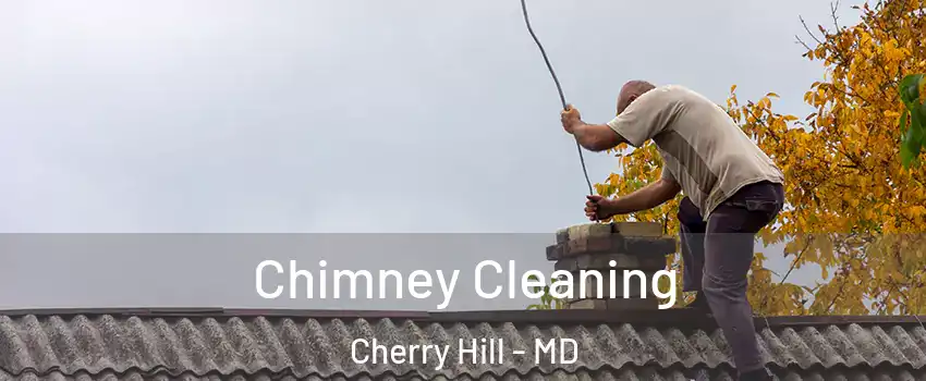 Chimney Cleaning Cherry Hill - MD