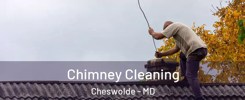 Chimney Cleaning Cheswolde - MD