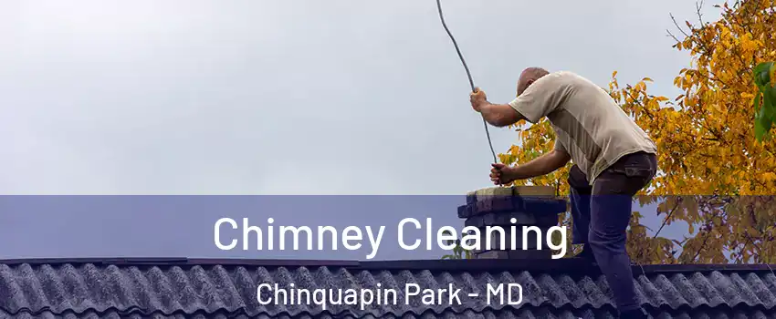 Chimney Cleaning Chinquapin Park - MD