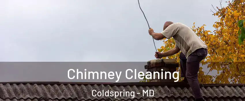 Chimney Cleaning Coldspring - MD