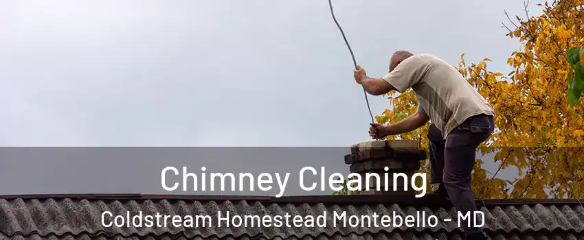 Chimney Cleaning Coldstream Homestead Montebello - MD