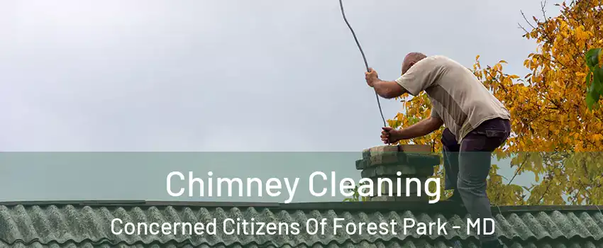 Chimney Cleaning Concerned Citizens Of Forest Park - MD