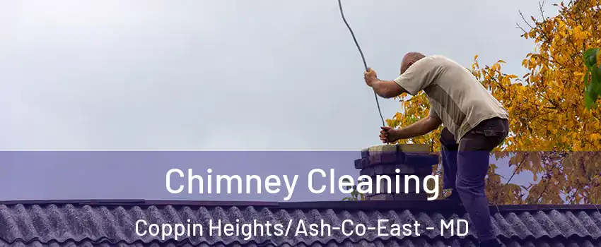 Chimney Cleaning Coppin Heights/Ash-Co-East - MD